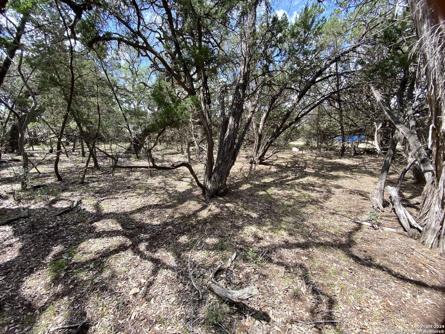 Bandera, TX 78003,LOT 38 Wyatt Earp