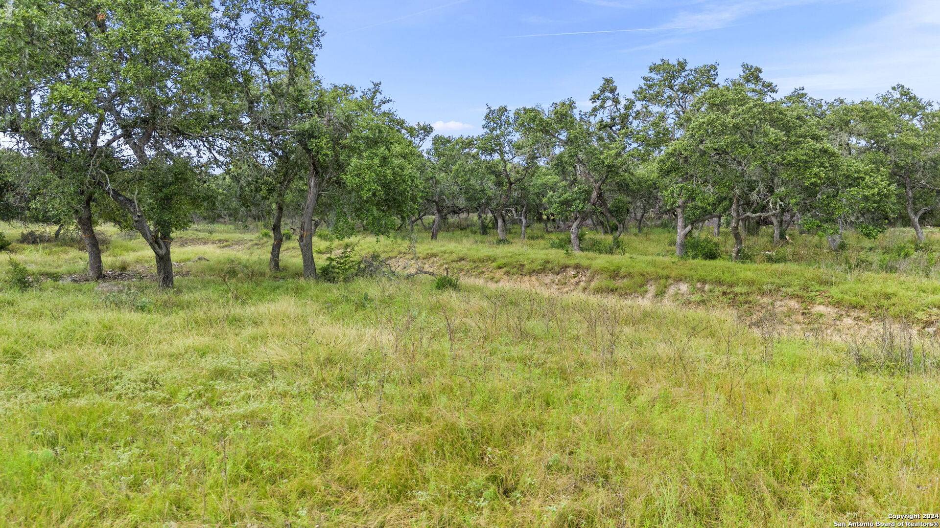 Spring Branch, TX 78070,113 SABELLA