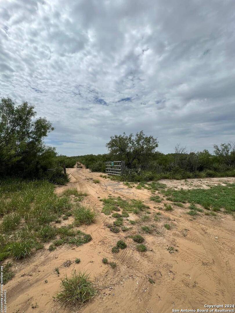 Carrizo Springs, TX 78834,0 LOOP 517