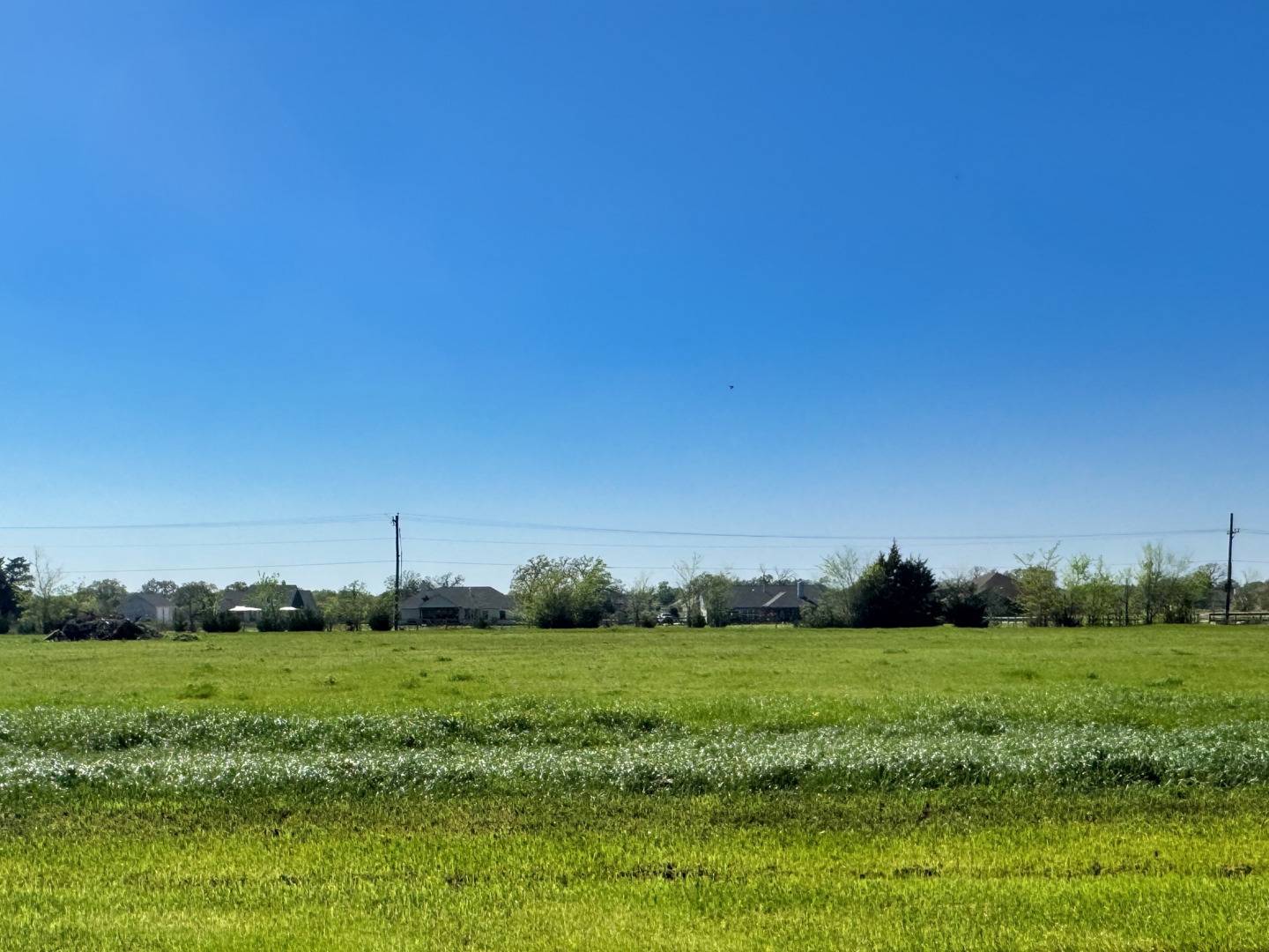 Iola, TX 77861,9891 Panther Creek Drive