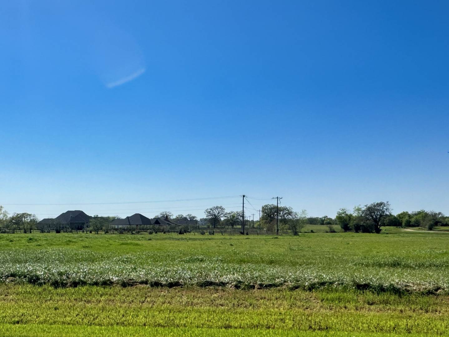 Iola, TX 77861,10069 Panther Creek Drive
