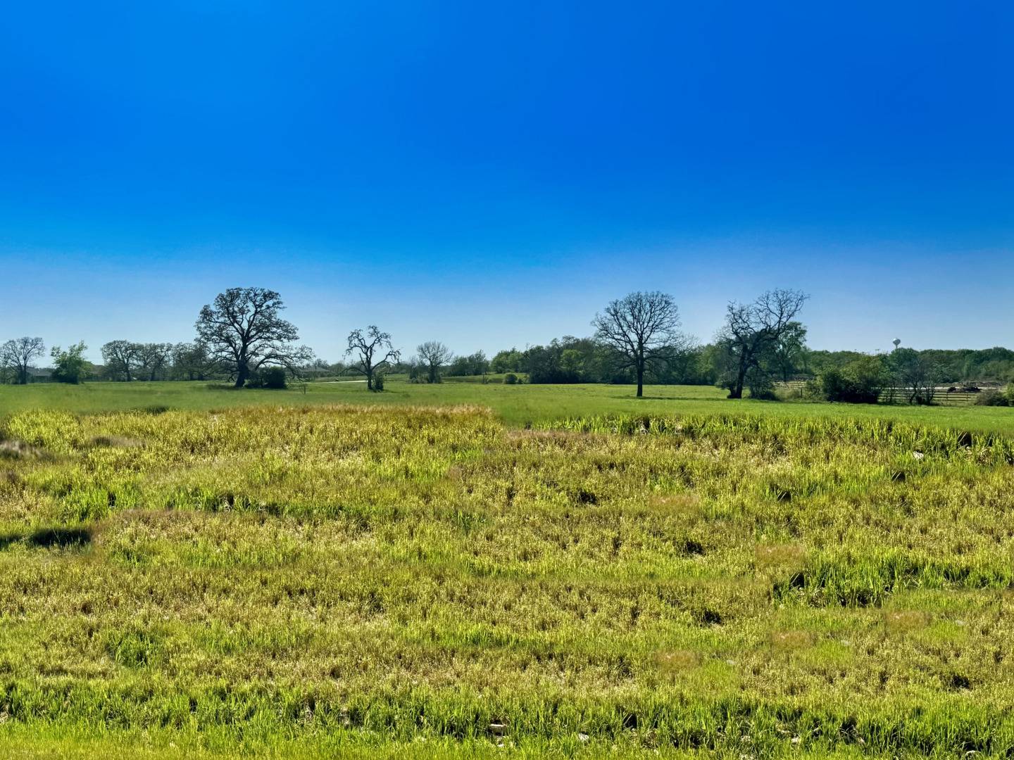 Iola, TX 77861,10199 Panther Creek Drive