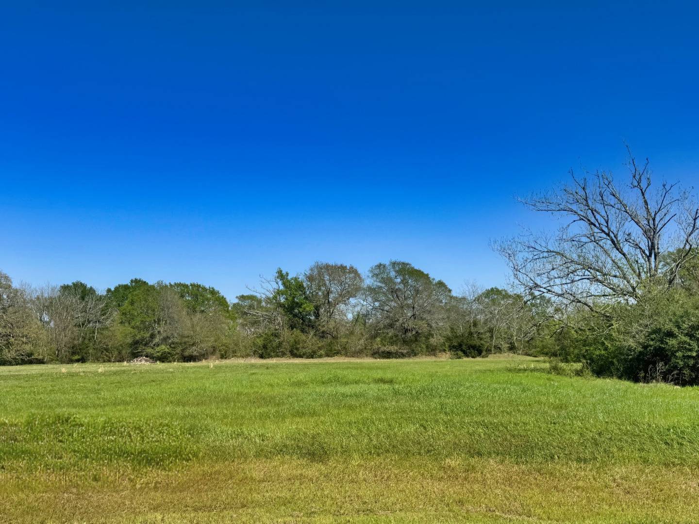 Iola, TX 77861,10270 Panther Creek Drive