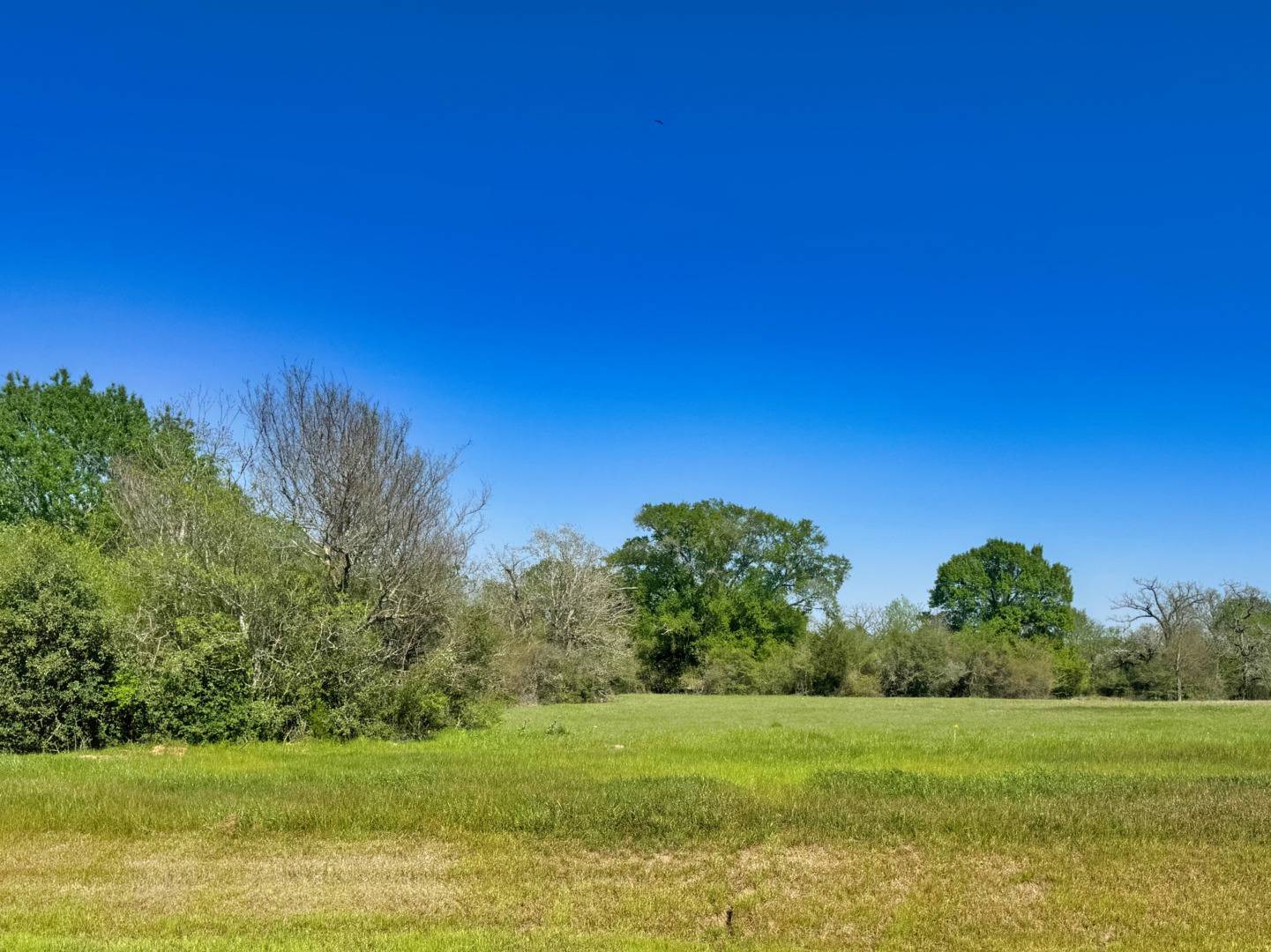Iola, TX 77861,10246 Panther Creek Drive