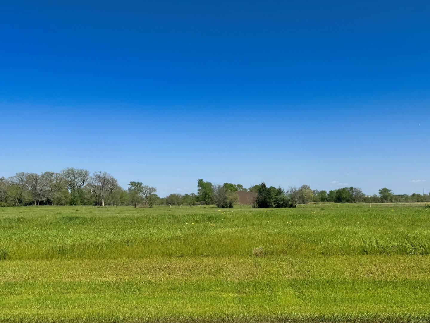 Iola, TX 77861,10042 Panther Creek Drive