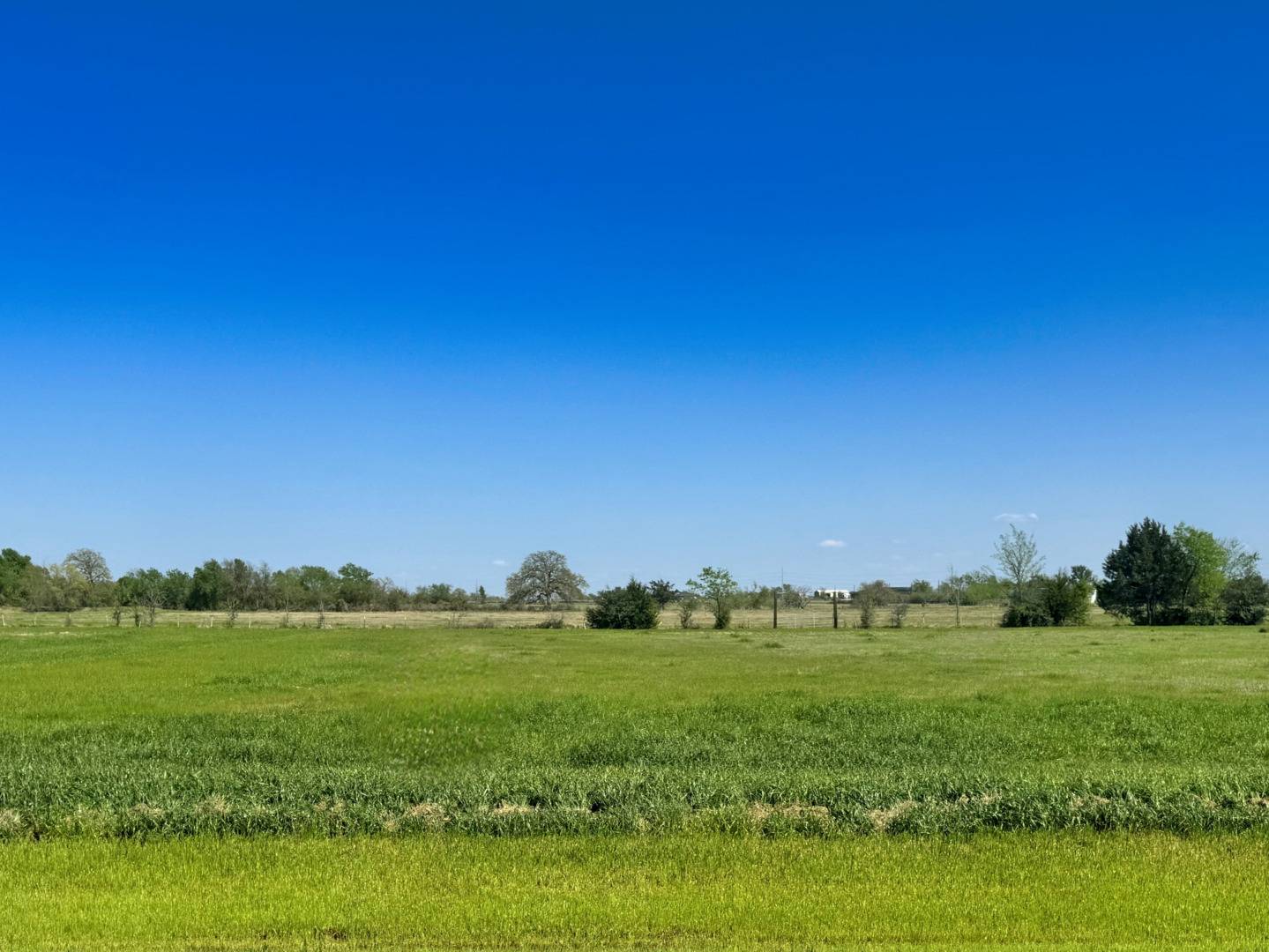 Iola, TX 77861,9942 Panther Creek Drive