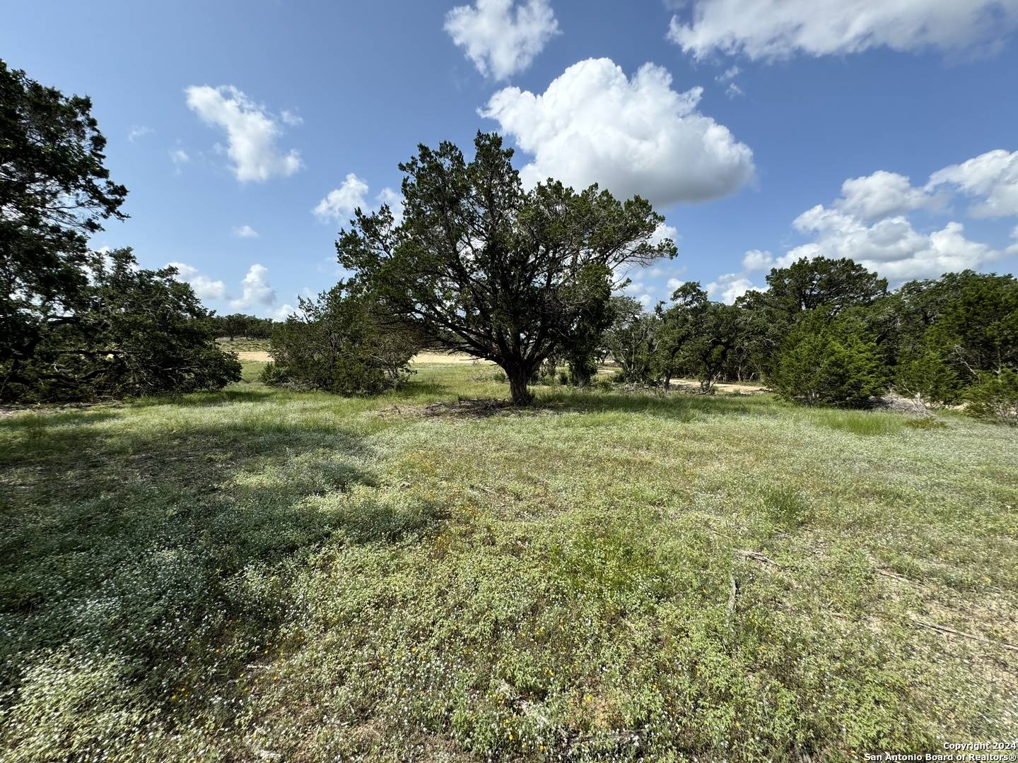 Bulverde, TX 78163,34707 Deeanne Valley Trl