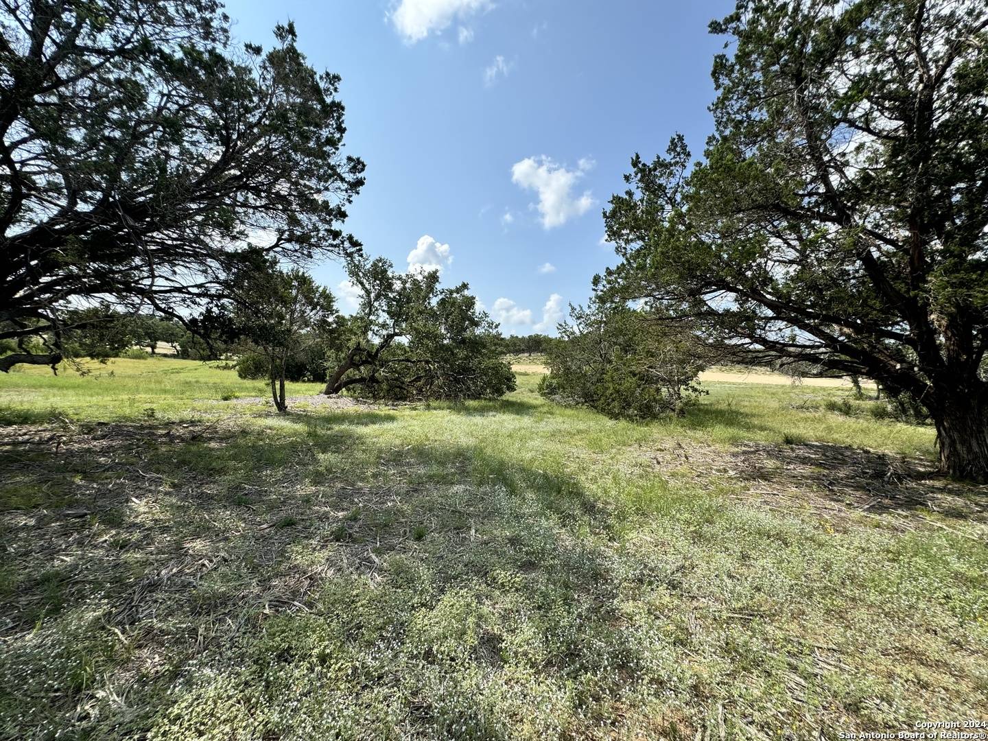 Bulverde, TX 78163,34707 Deeanne Valley Trl