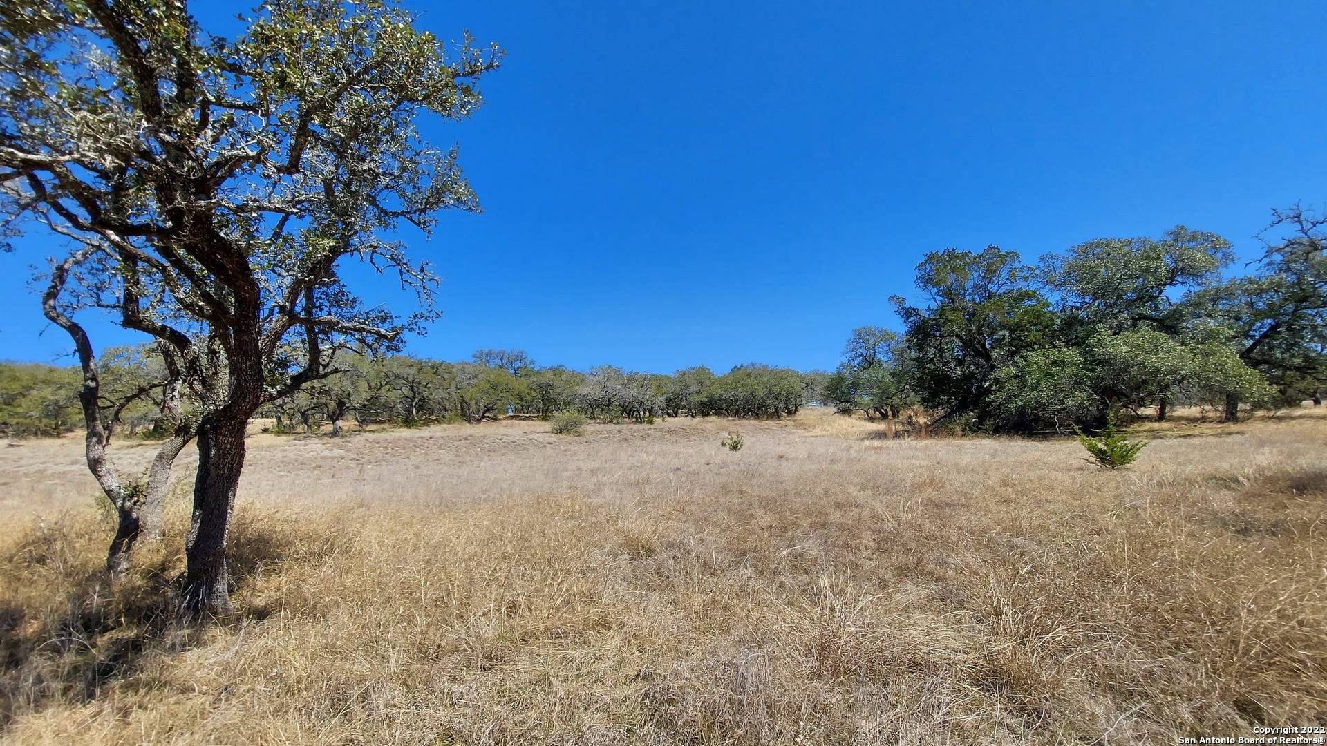 Bulverde, TX 78163,928 Annabelle Ave