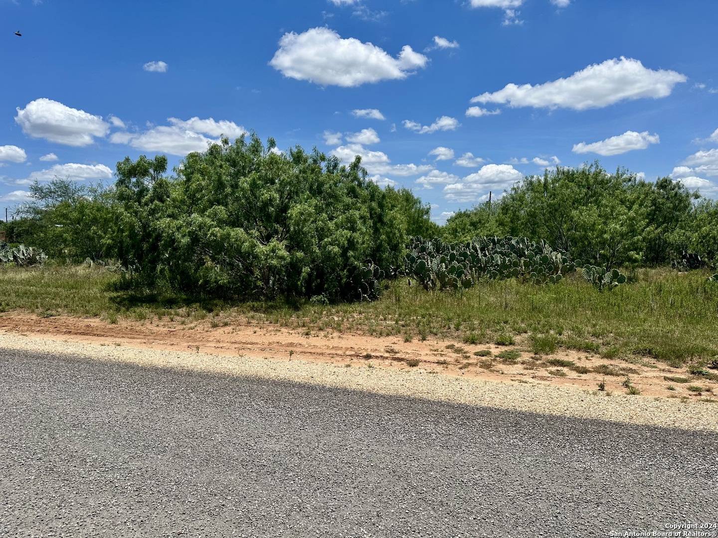 Pearsall, TX 78061,TBD County Road 3418