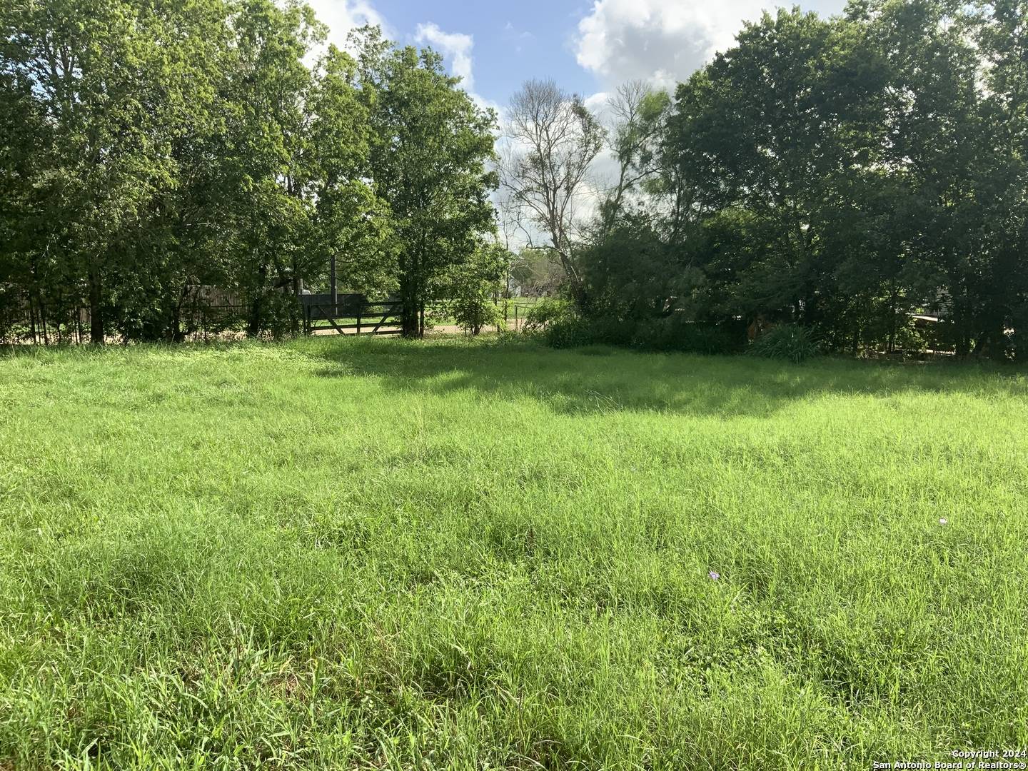 Nixon, TX 78140,608 Franklin