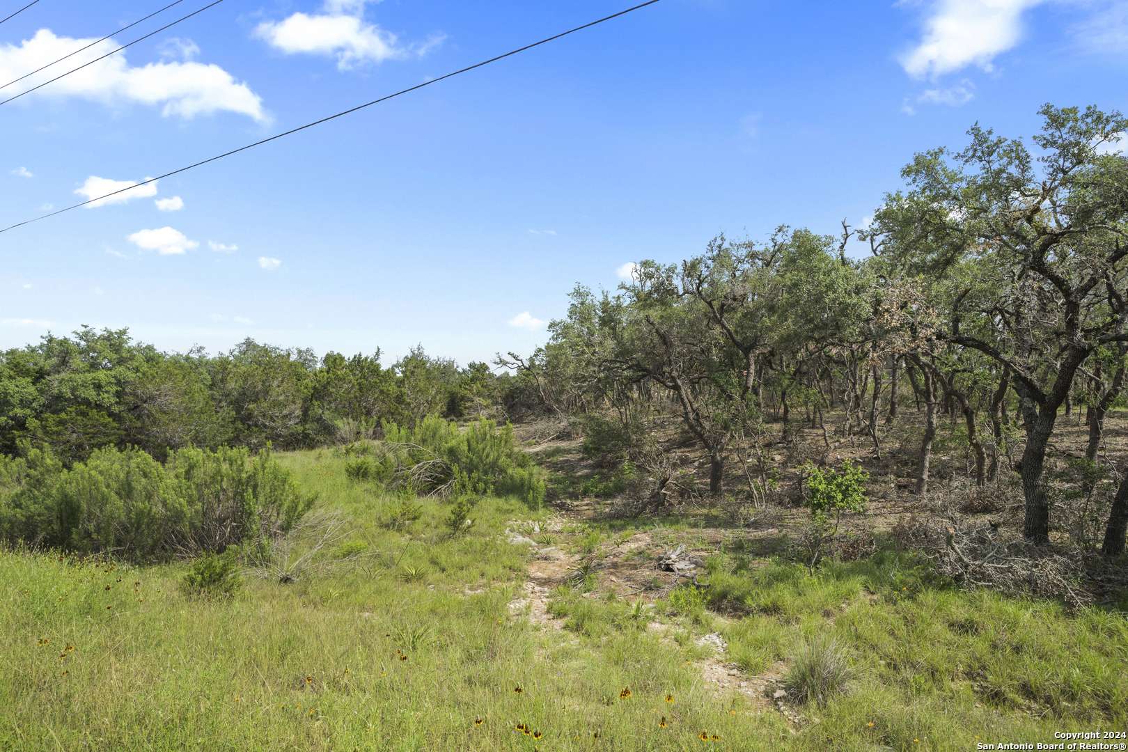 Spring Branch, TX 78070,154 vista view