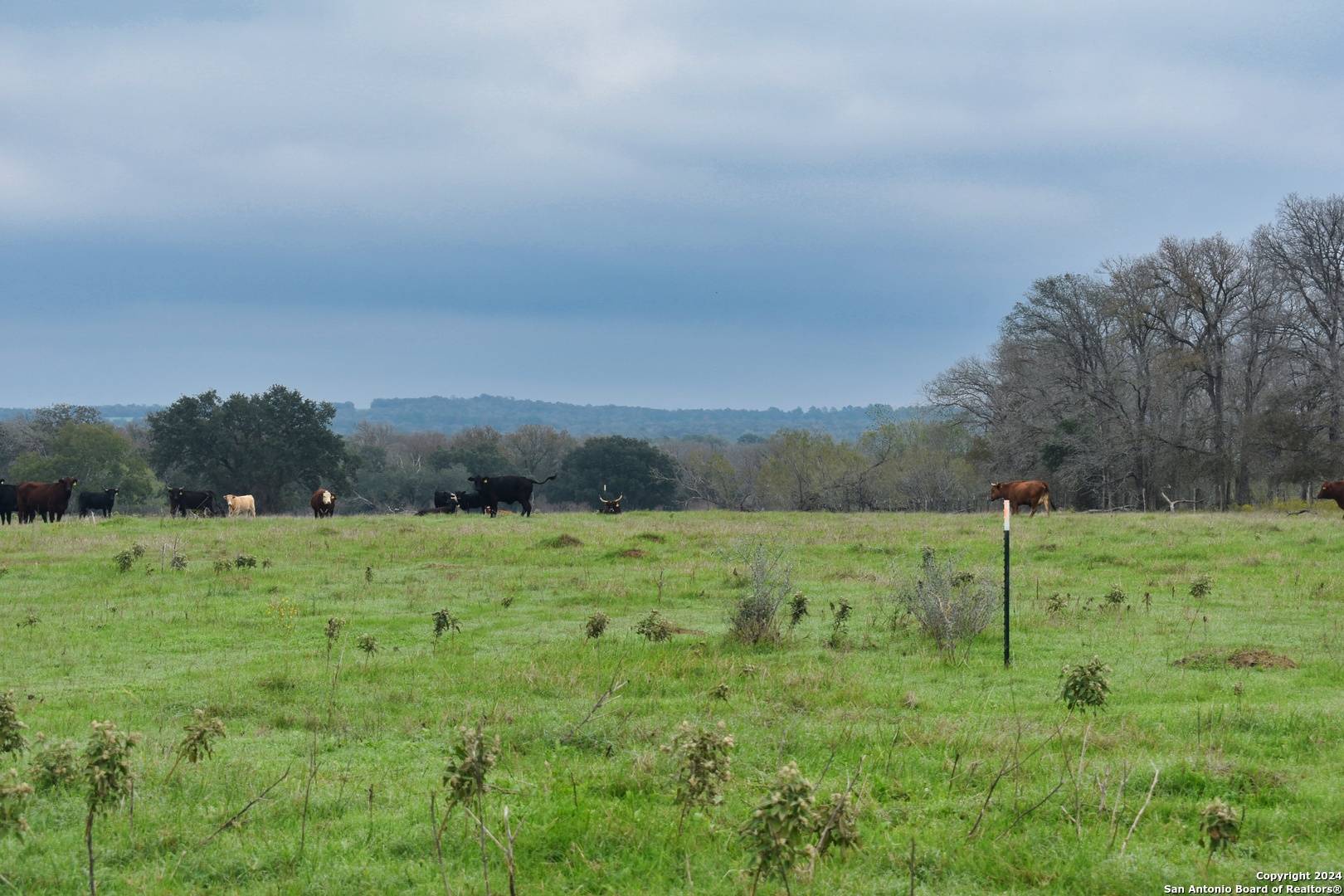 Luling, TX 78648,LOT 6 Tenney Creek Road