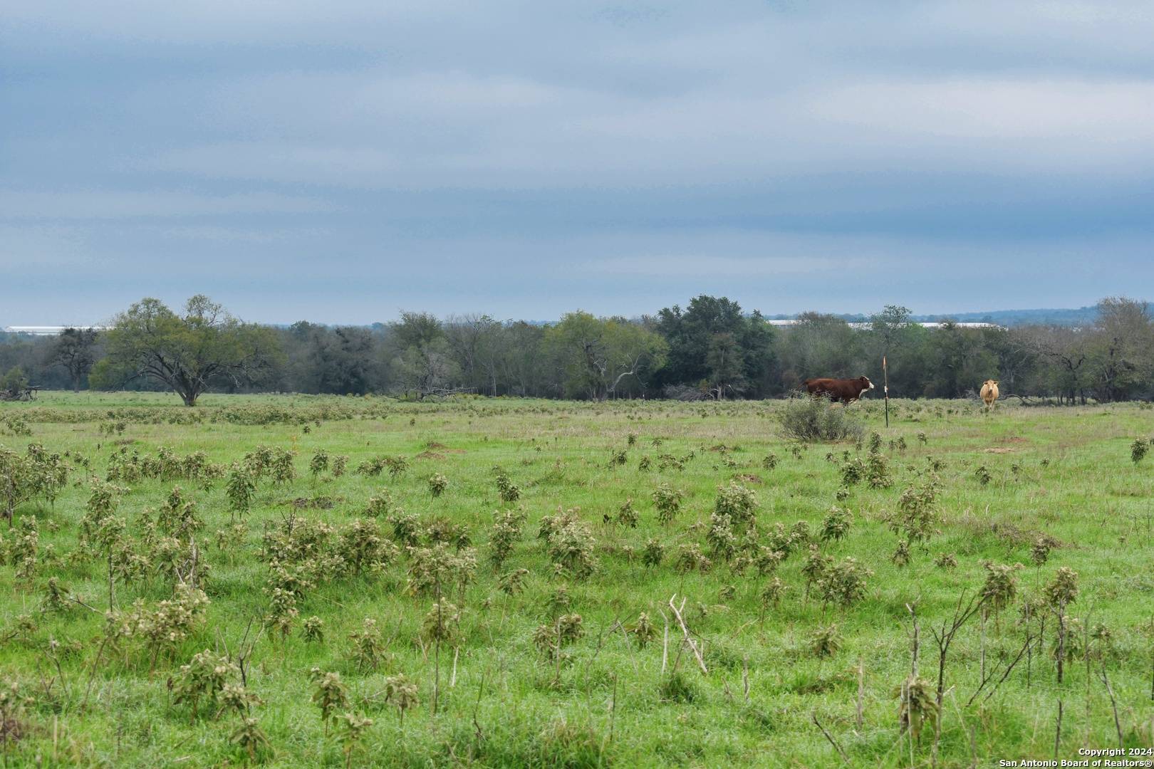 Luling, TX 78648,LOT 6 Tenney Creek Road