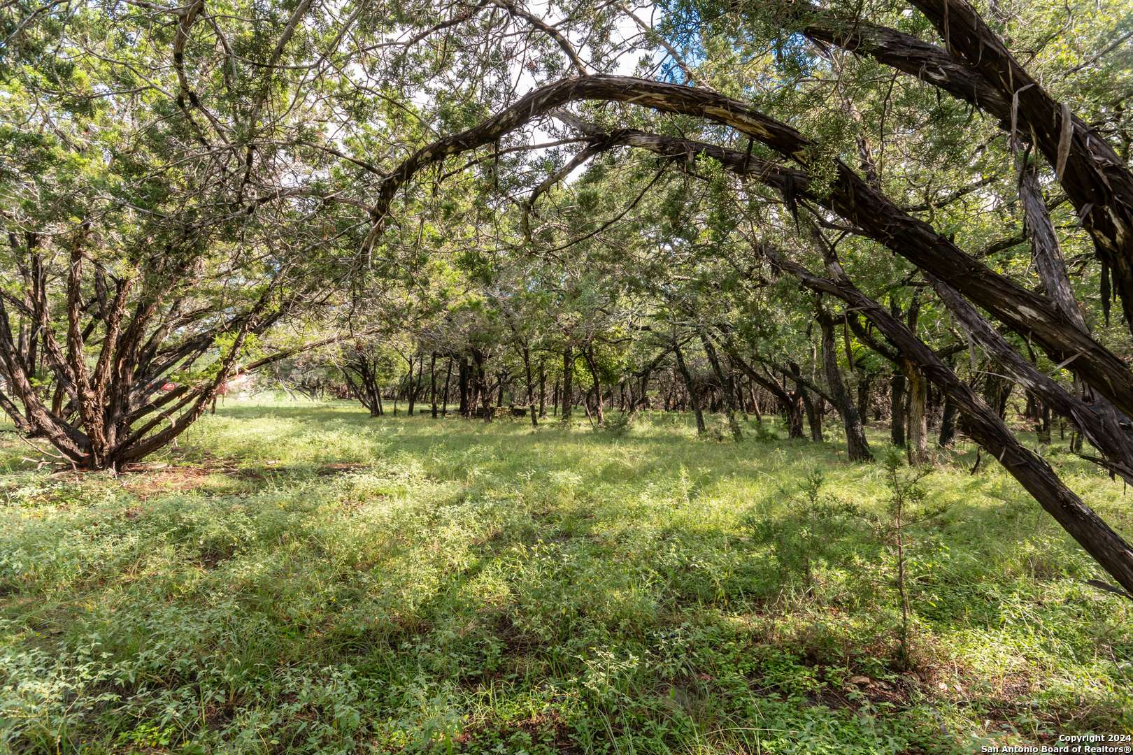 Spring Branch, TX 78070,1170 Whispering Water