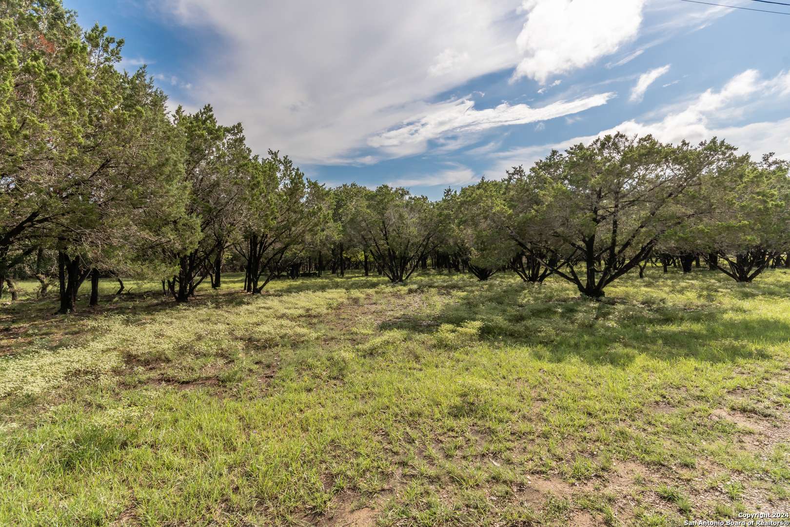 Spring Branch, TX 78070,1170 Whispering Water