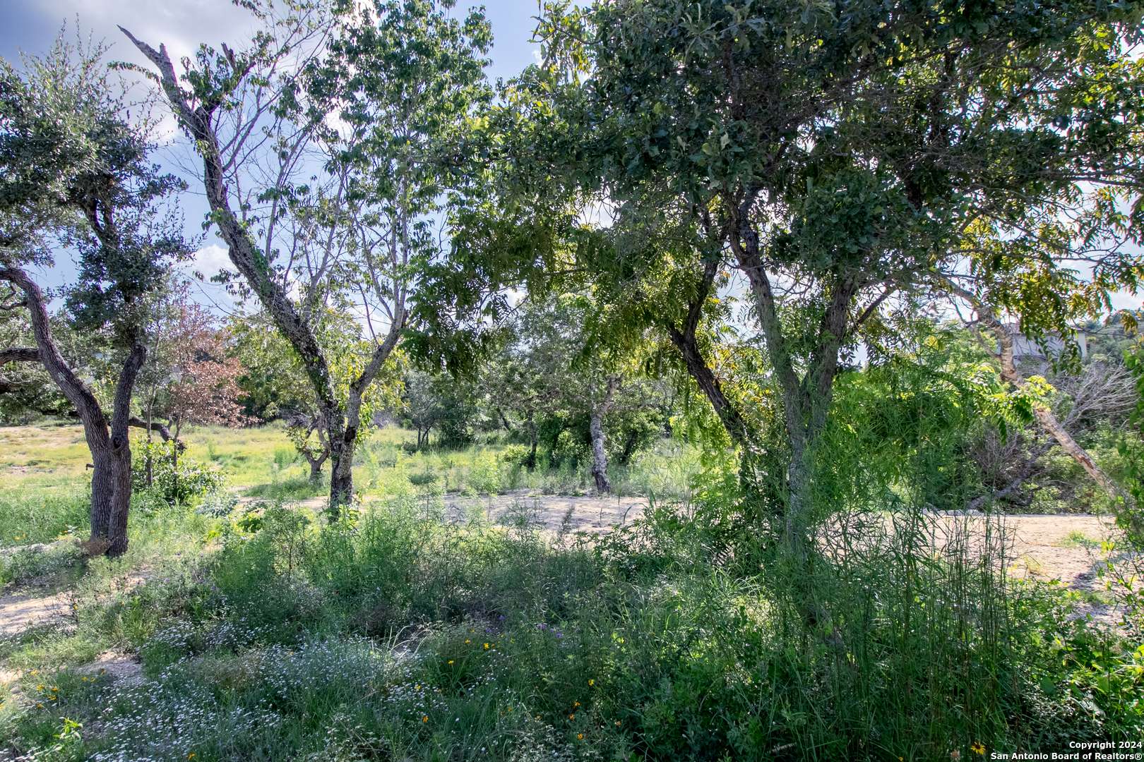 San Antonio, TX 78255,LOT 6 MESSINA CYN