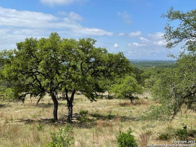 Fischer, TX 78623,1074 Madrone Rd