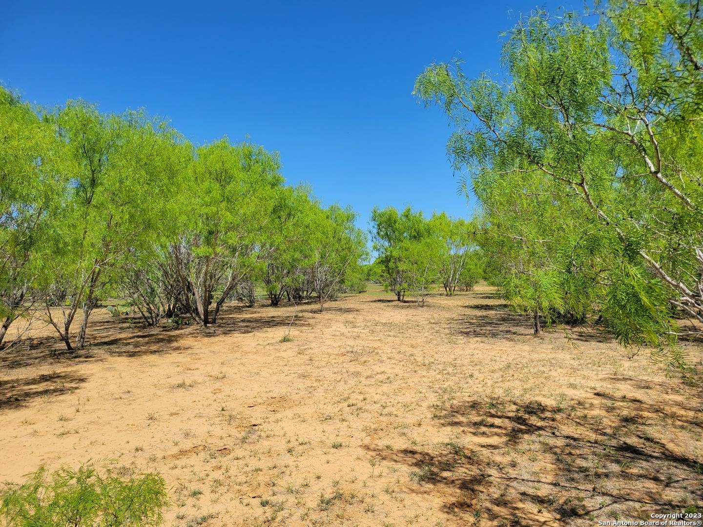 Yancey, TX 78886,TBD LOT 3 Cr 7421