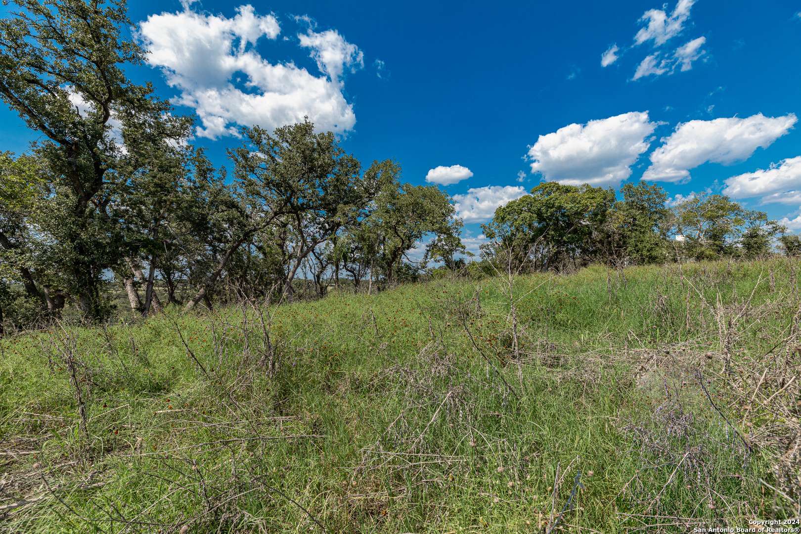 Bulverde, TX 78163,593 Rosemary Ridge Dr