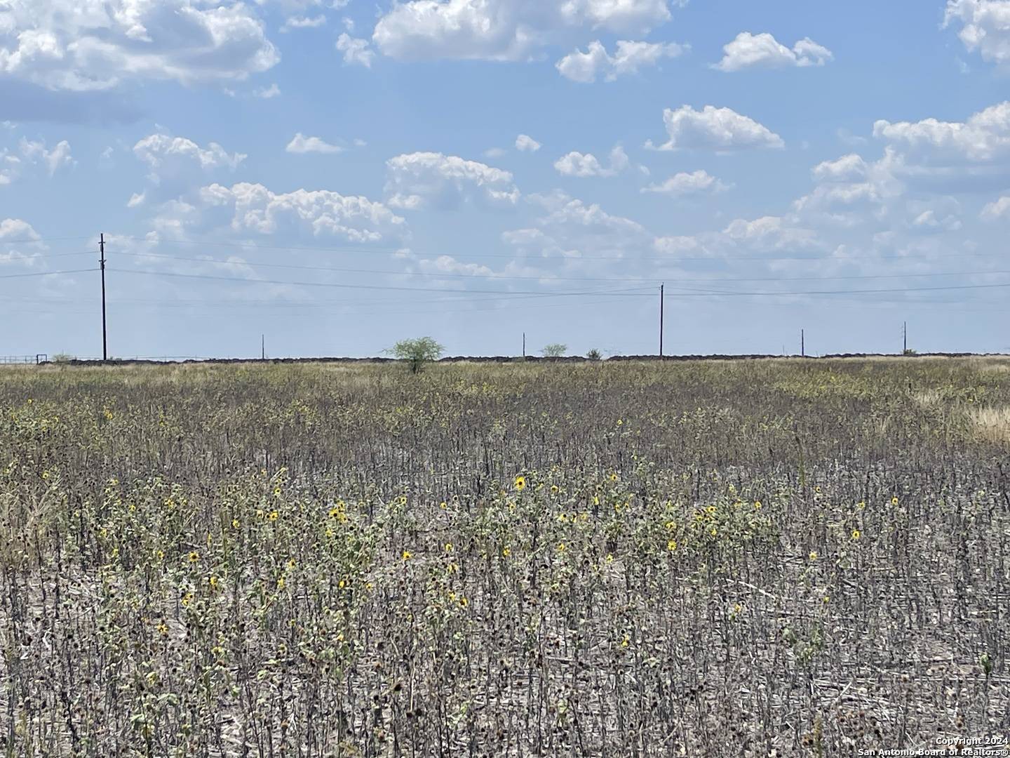 Dhanis, TX 78850,TBD LOT 1 COUNTY ROAD 515