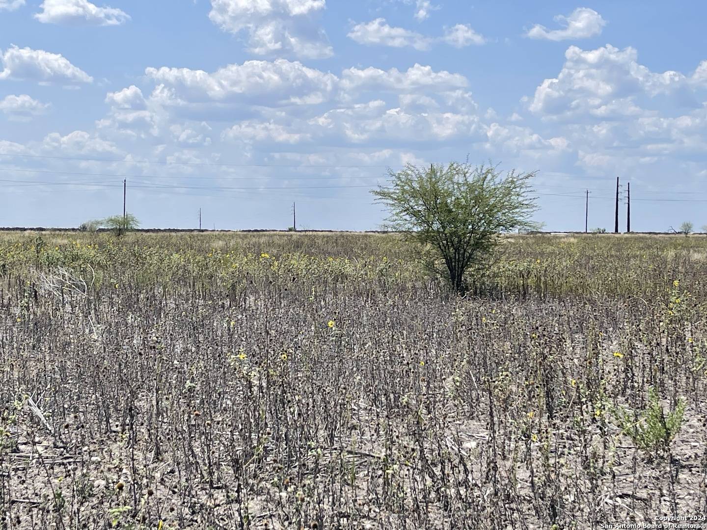 Dhanis, TX 78850,TBD LOT 1 COUNTY ROAD 515