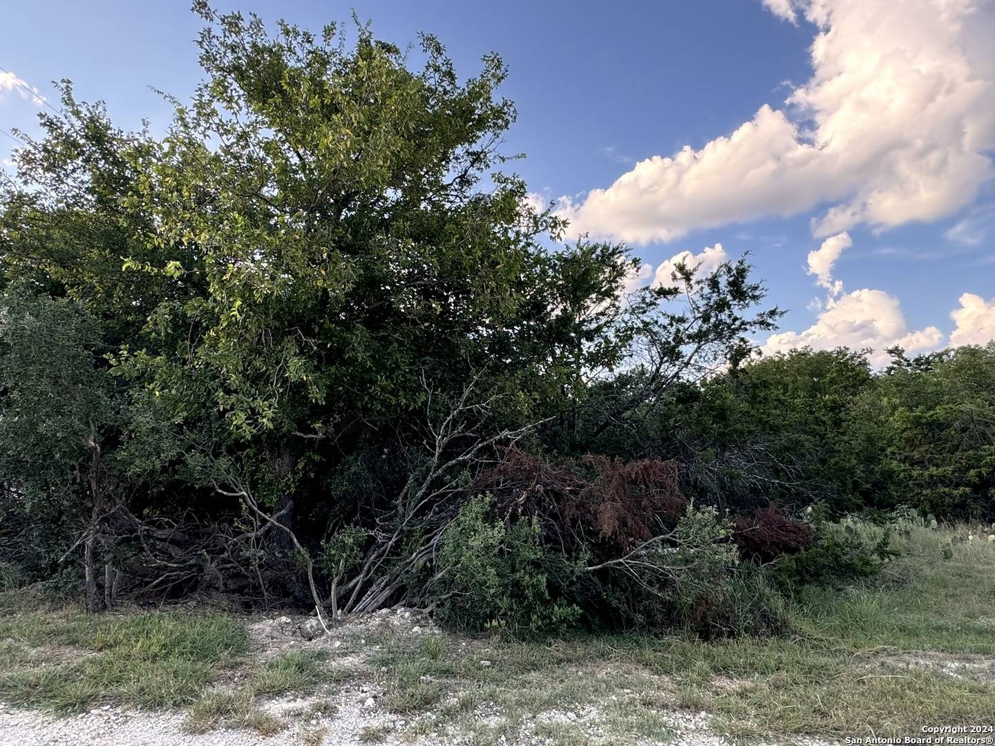 Spring Branch, TX 78070,LOT 10 Rocky Point Drive