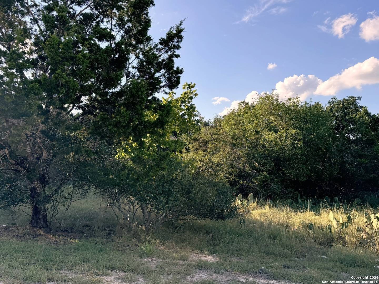 Spring Branch, TX 78070,LOT 10 Rocky Point Drive