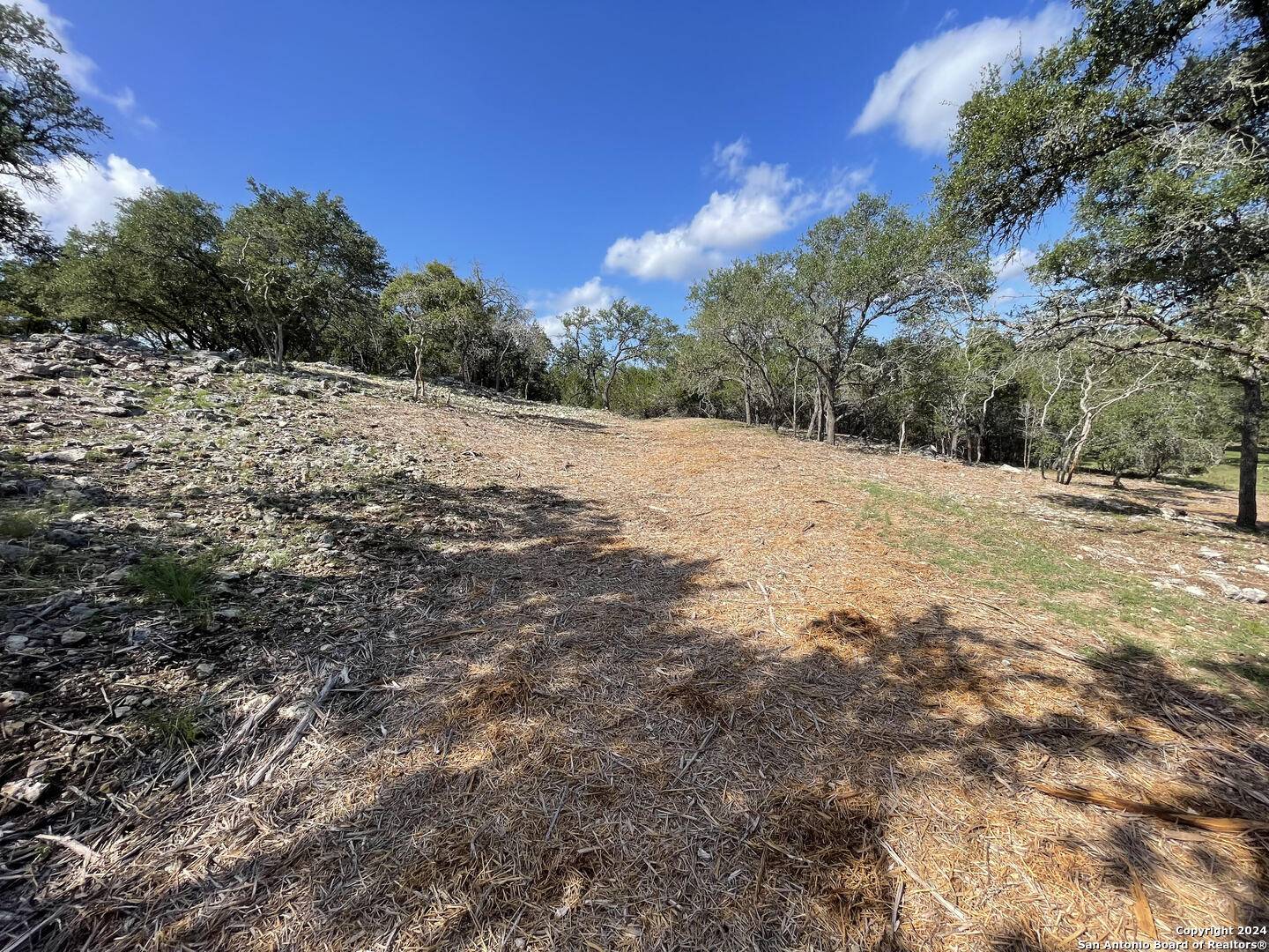 Boerne, TX 78006,601 River Mountain Dr.