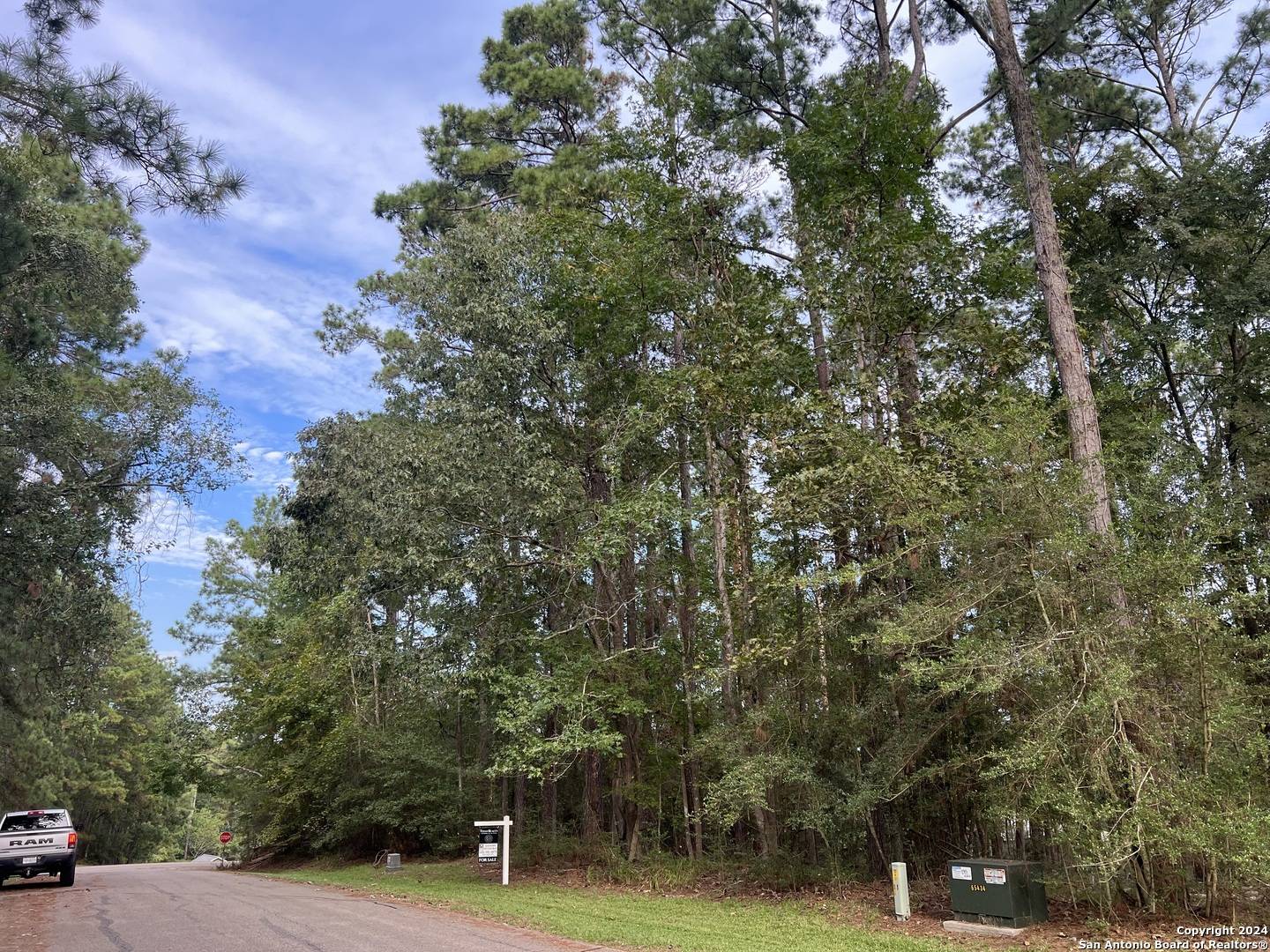 Coldspring, TX 77331,91 Twinstone Cir