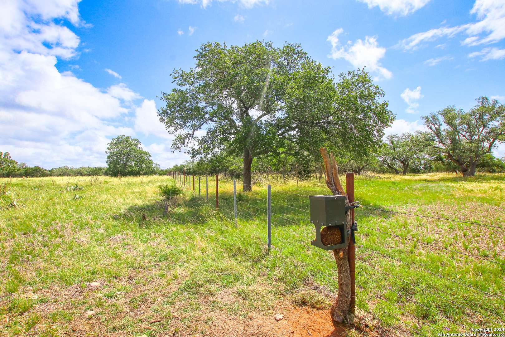 Harper, TX 78631,230 old roeder