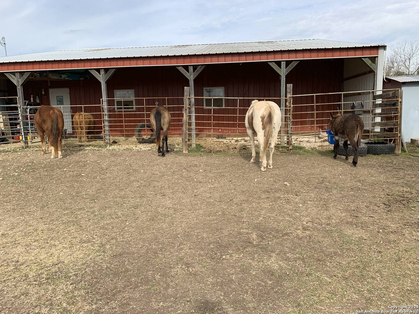 Hondo, TX 78861-6572,1709 COUNTY ROAD 351