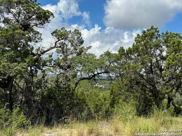 Canyon Lake, TX 78133,0 TBD SAN JUAN