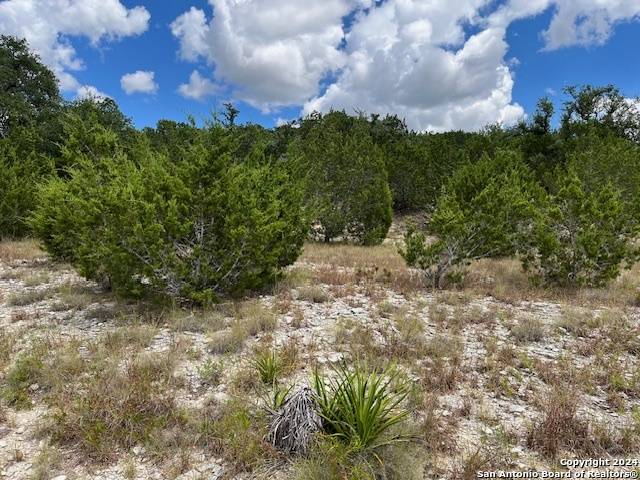Canyon Lake, TX 78133,1396 CANYON TRACE