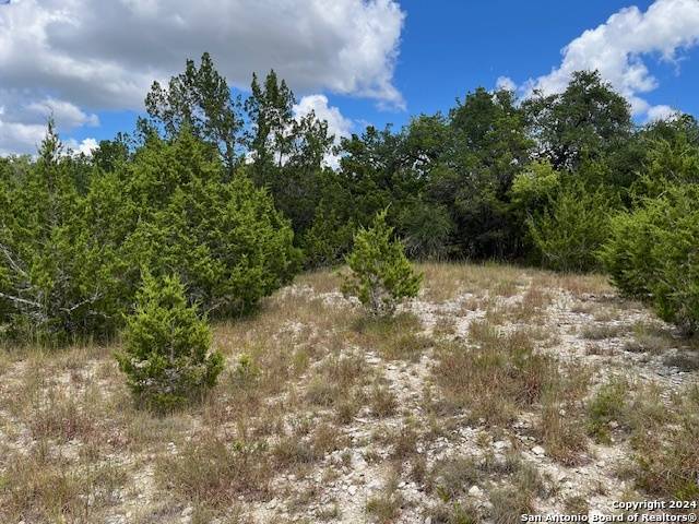 Canyon Lake, TX 78133,1406 CANYON TRACE