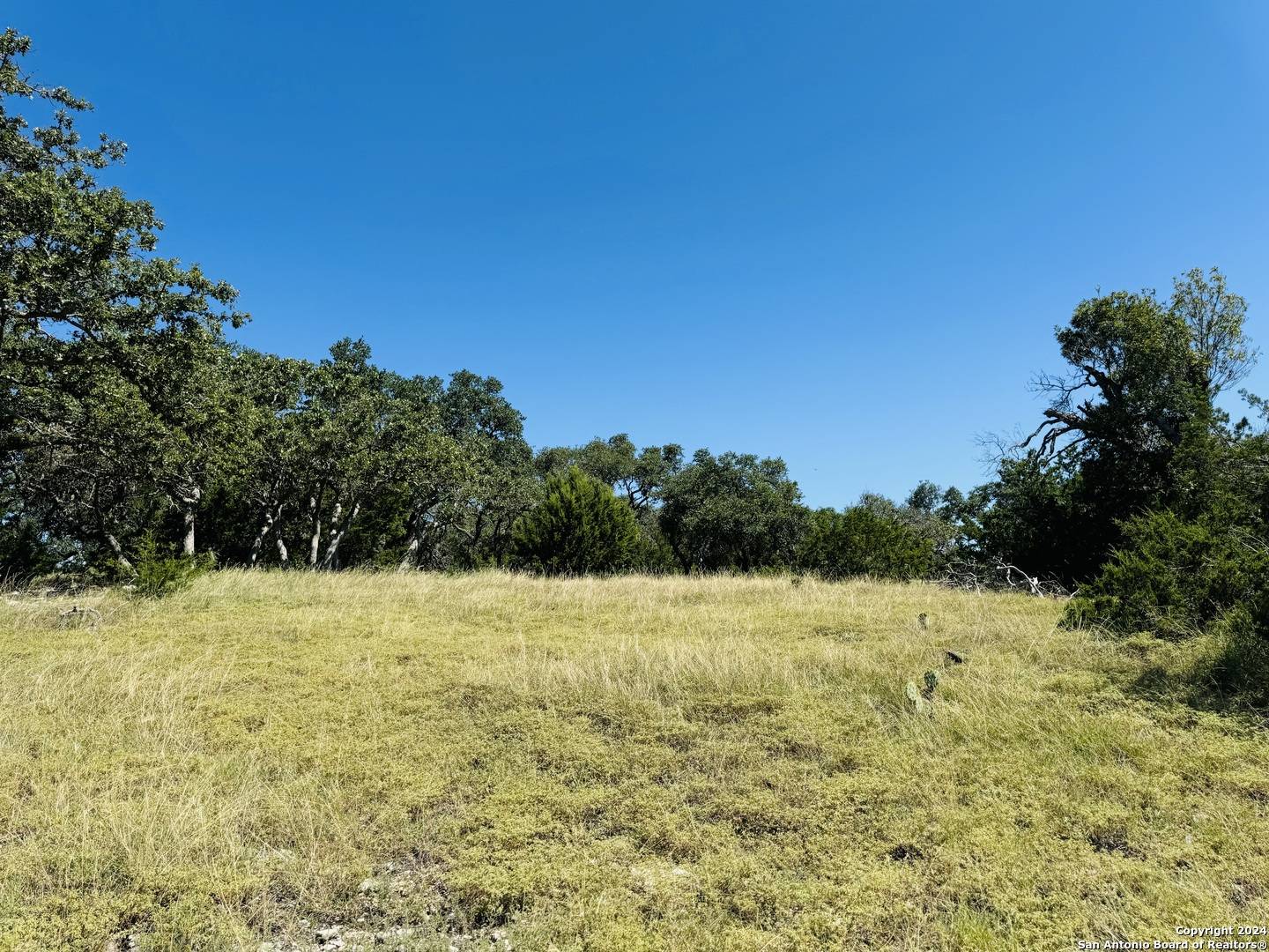 Fredericksburg, TX 78624,LOT 75 Pinnacle Dr