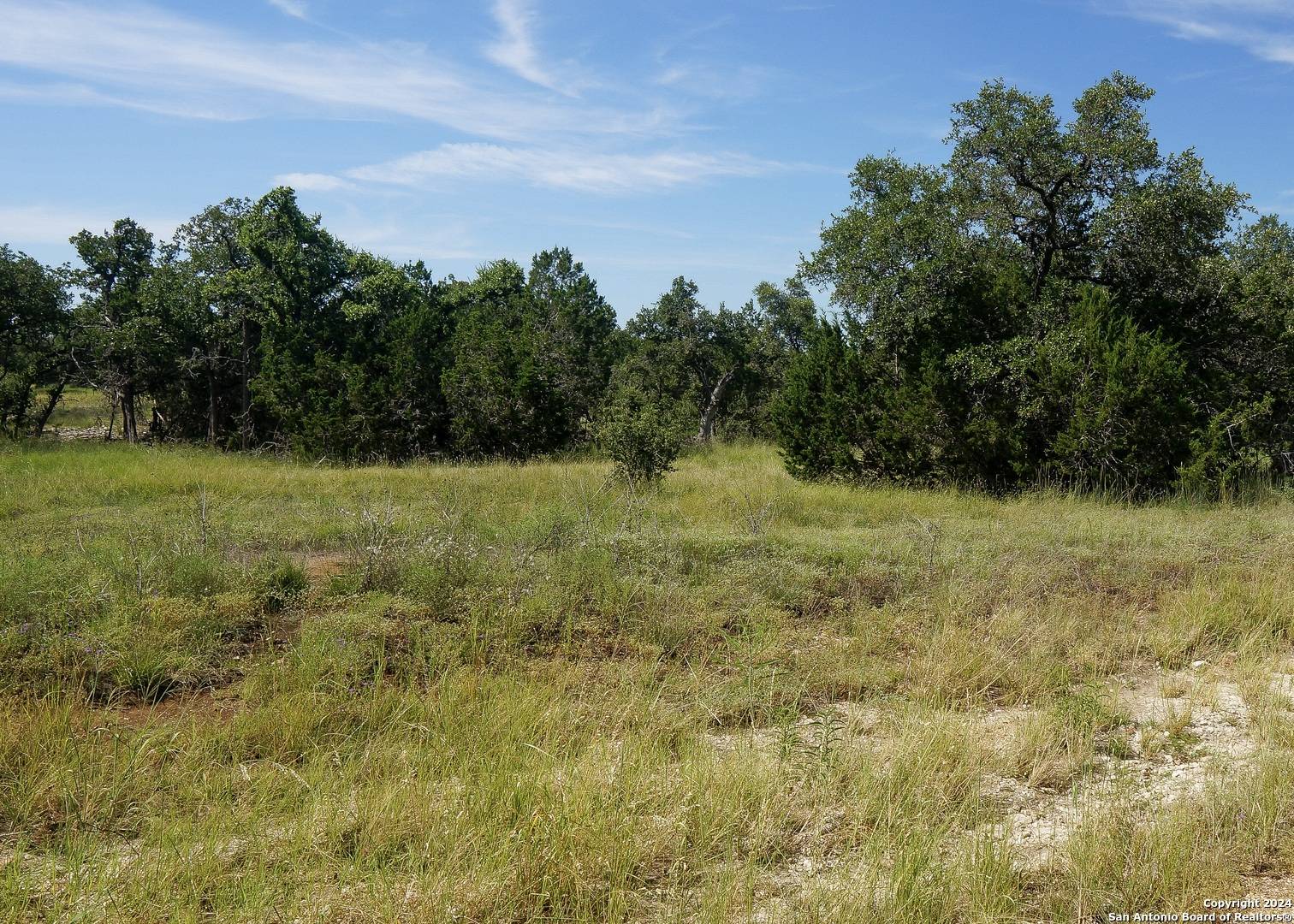 Bulverde, TX 78163,34753 carries creek