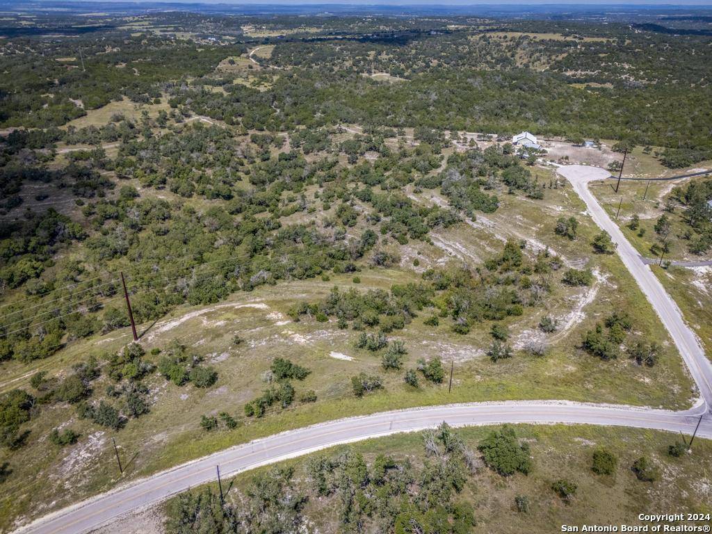 Blanco, TX 78606,LOT 49 Twisted Oak