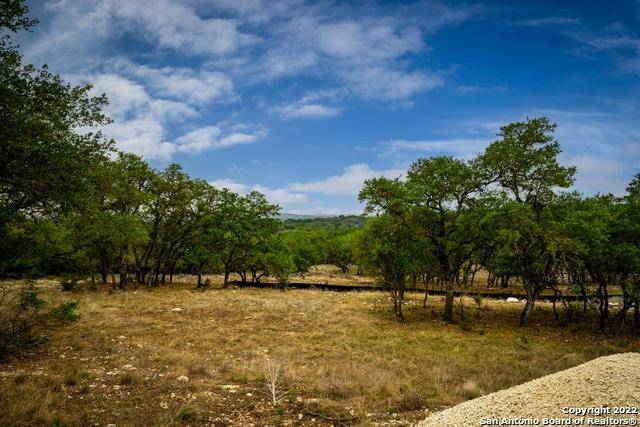 Boerne, TX 78006,106 Swede Crk