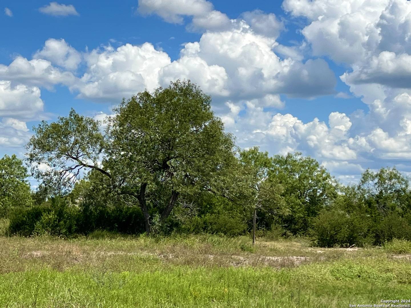 George West, TX 78022,O County Road 116