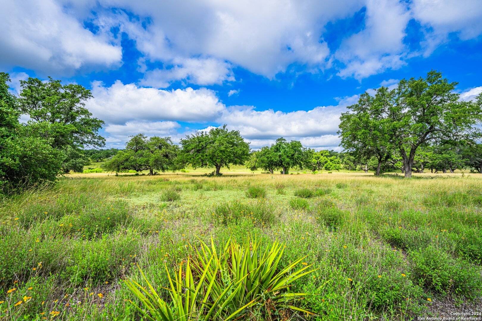 Round Mountain, TX 78663,3101 Shovel Mountain Rd