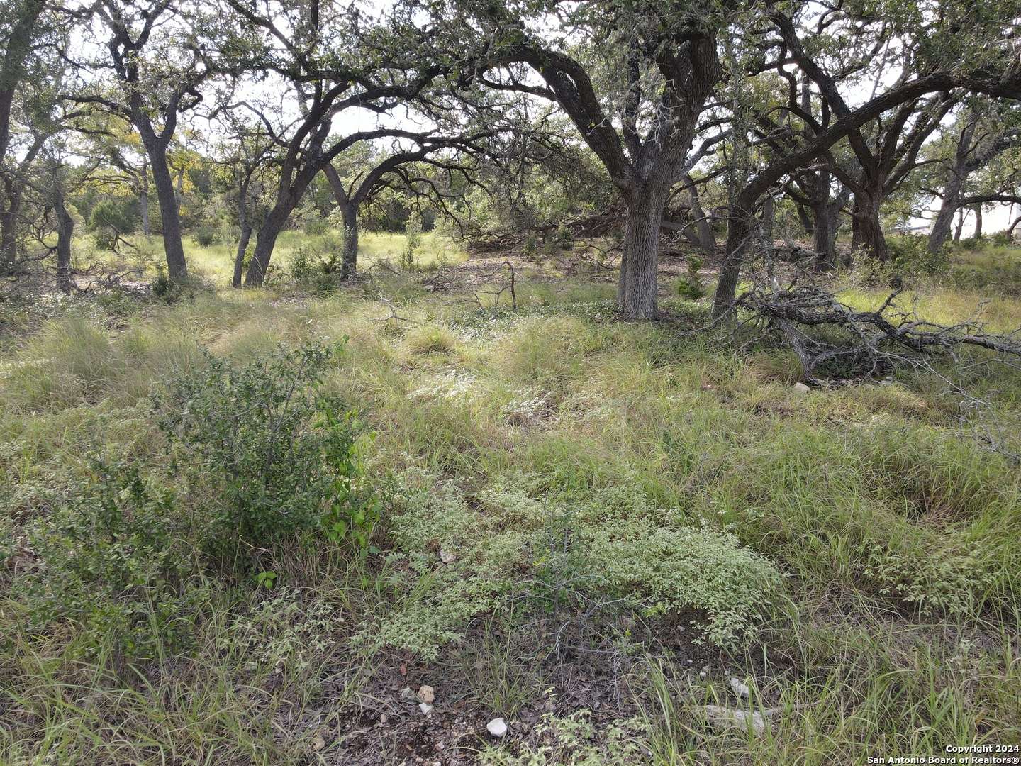 Spring Branch, TX 78070,142 CARTAMA