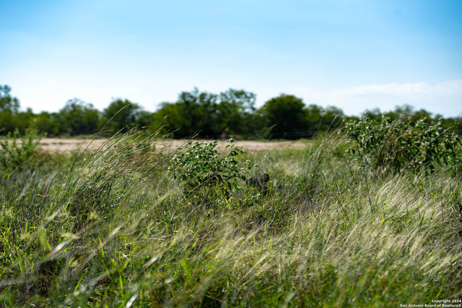 Floresville, TX 78114,TBD County Road 124 Tract 20