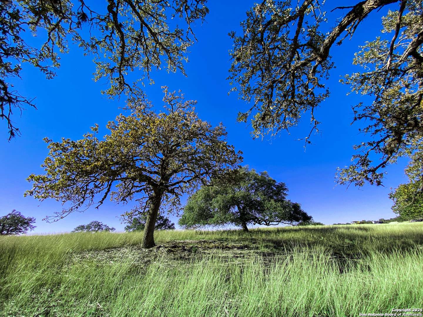 Kerrville, TX 78028,LOT 155 Loma Vista Ranch