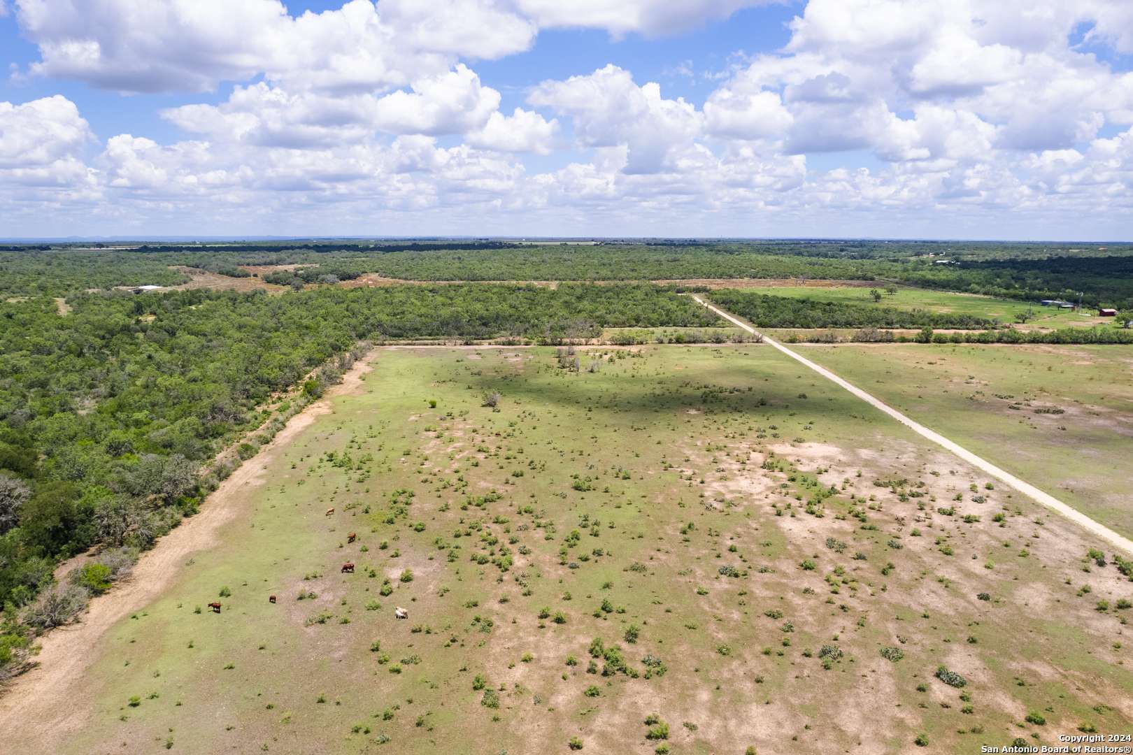 Devine, TX 78016,1 CR 651