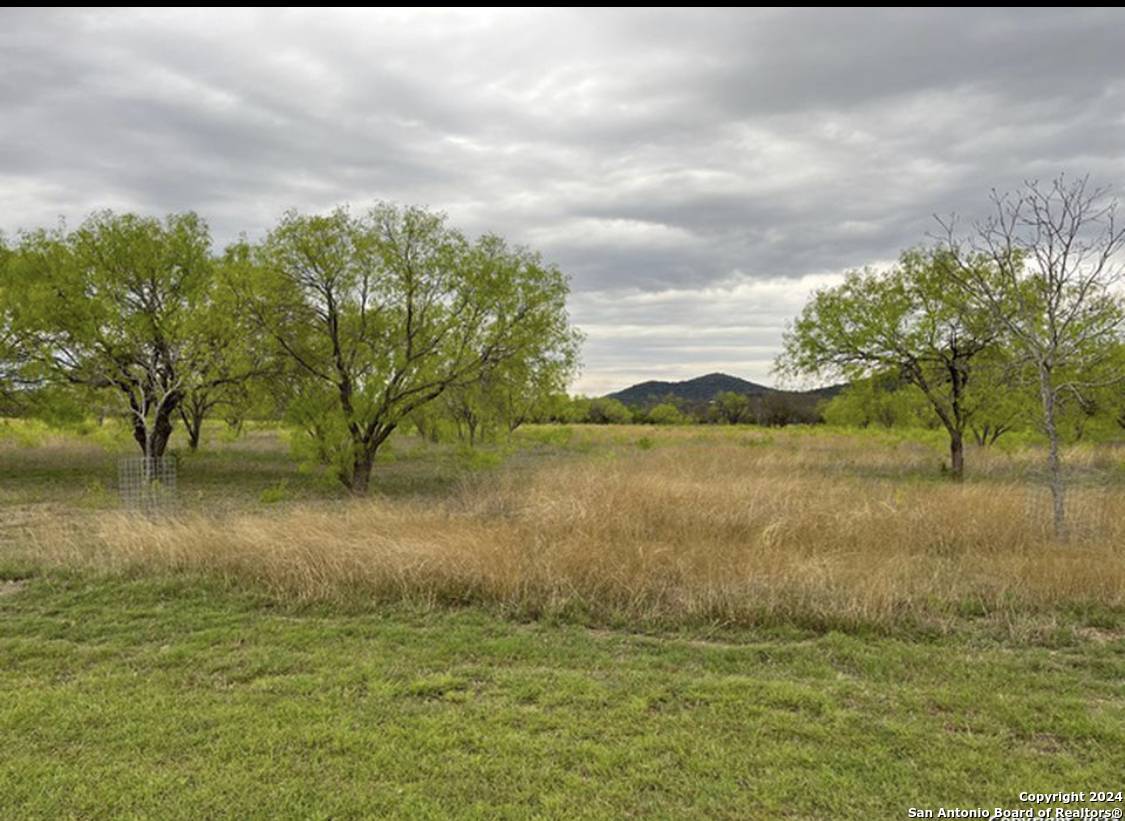 Rio Frio, TX 78879,92 The Ridge Loop