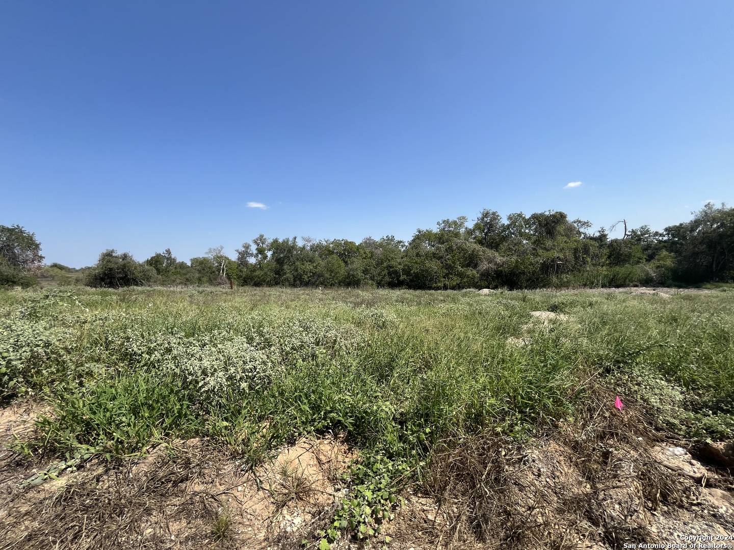 Floresville, TX 78114,LOT D 497 County Rd 124