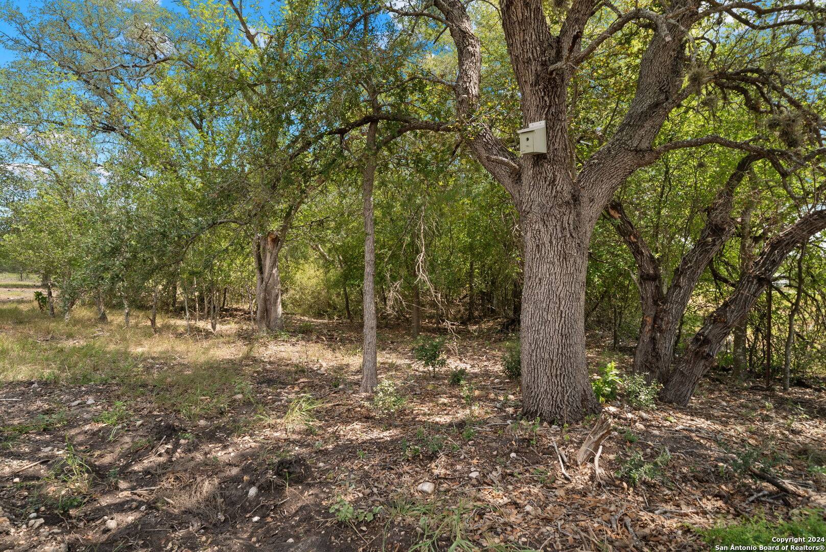 Castroville, TX 78009,TBD HIGHWAY 90