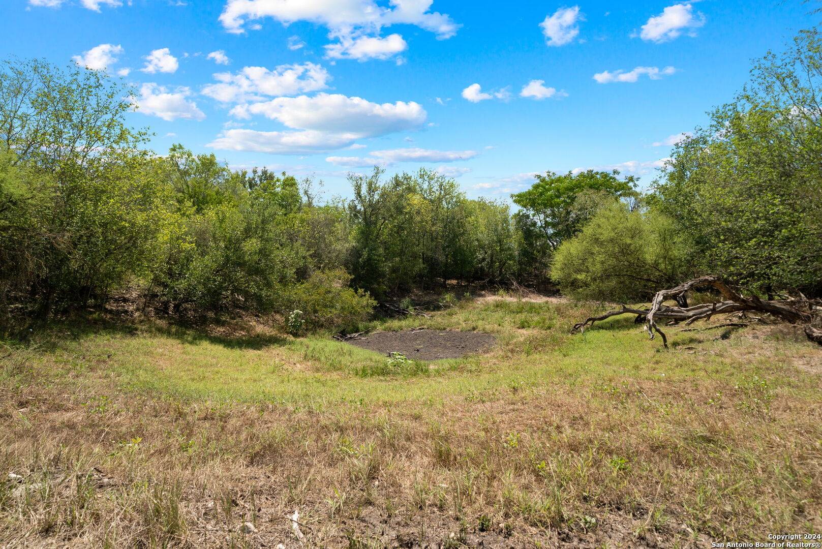 Castroville, TX 78009,TBD HIGHWAY 90