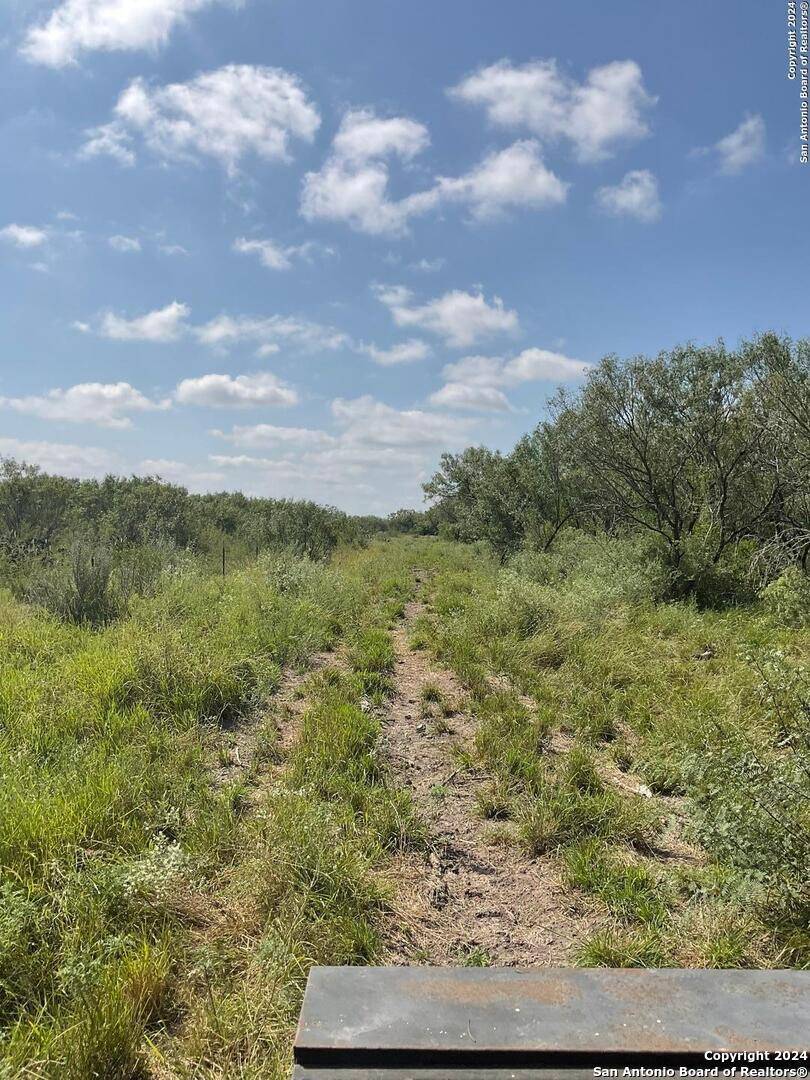 Tilden, TX 78072,0 Rhode Ranch Private Road